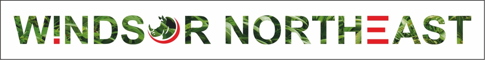 logo-img